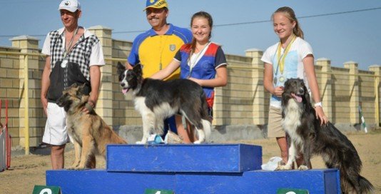 Призеры и победители Чемпионата Украины по аджилити. Одесса, сентябрь 2014 года. Призеры и победители Чемпионата Украины по аджилити. Одесса, сентябрь 2014 года. фото