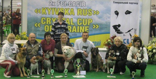 Команда г.Одессы на «Кубке Президента КСУ по аджилити». Киев, декабрь 2011 года. Команда г.Одессы на «Кубке Президента КСУ по аджилити». Киев, декабрь 2011 года. фото