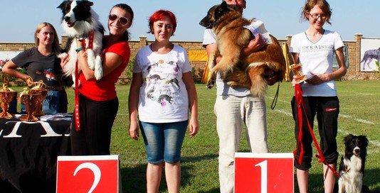 Призеры и победители Чемпионата Украины по дог-фризби. Одесса, сентябрь 2017 года. Призеры и победители Чемпионата Украины по дог-фризби. Одесса, сентябрь 2017 года. фото