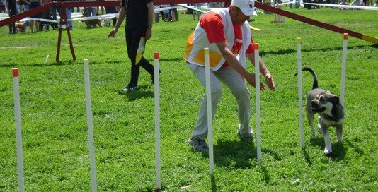 Забег на Этапе Кубка мира. Одесса, май 2012 года. Забег на Этапе Кубка мира. Одесса, май 2012 года. фото