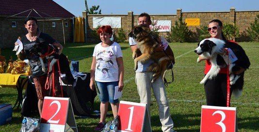 Призеры и победители Чемпионата Украины по дог-фризби. Одесса, сентябрь 2017 года. Призеры и победители Чемпионата Украины по дог-фризби. Одесса, сентябрь 2017 года. фото