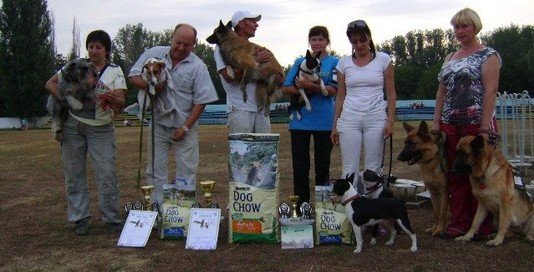 Команда г.Одессы на Чемпионате Украины по аджилити. Павлоград, август 2011 года. Команда г.Одессы на Чемпионате Украины по аджилити. Павлоград, август 2011 года. фото